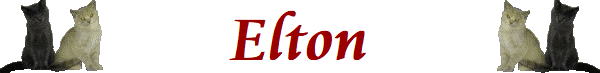 Elton Elton