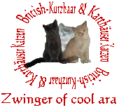 lOGO katzen-gauert