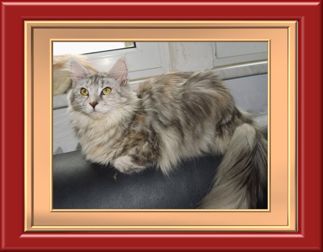 eine prinzessin