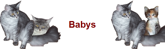Babys
