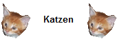 Katzen