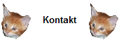 Kontakt