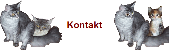 Kontakt
