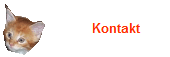 Kontakt