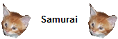 Samurai
