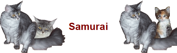 Samurai Samurai