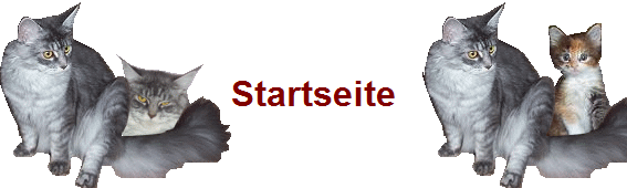 Startseite