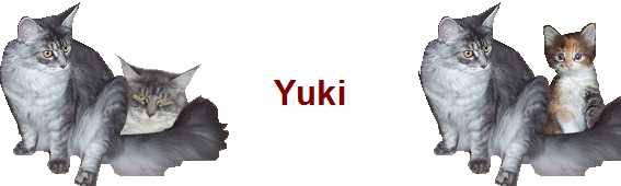 Yuki Yuki